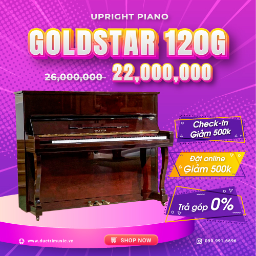goldstar-120G-22tr